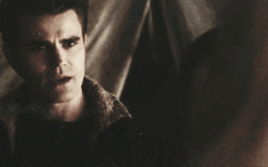  Rebekah and Stefan, ‘Into the Wild’