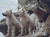  STOP THE KILLING!!!