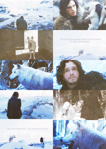  Jon Snow + Ghost