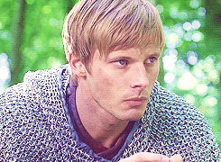 The King of Camelot 