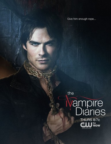  The Vampire Diaries February Sweeps Poster (Season 4)