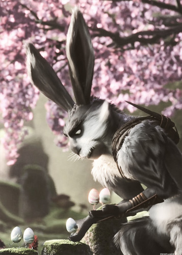  bunny
