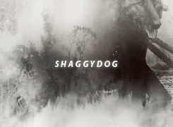  Shaggydog