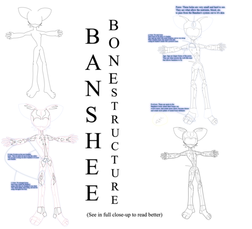 Banshee Mobian Bone Structure (See in full image)
