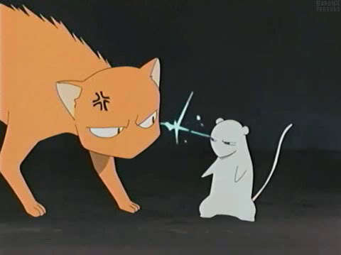  Cat vs. rato