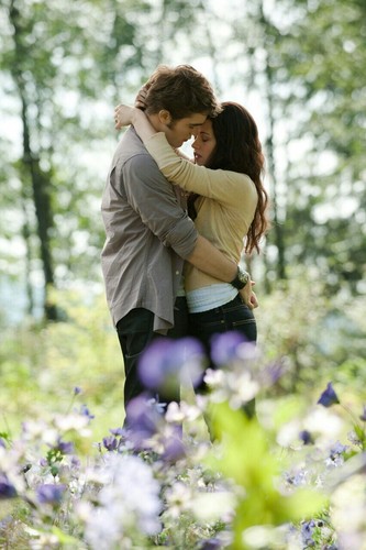  Edward and Bella in the meadows