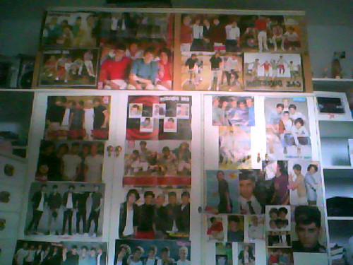  Just some of my 1D posters :)