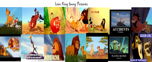  Lion King Funny Pictures