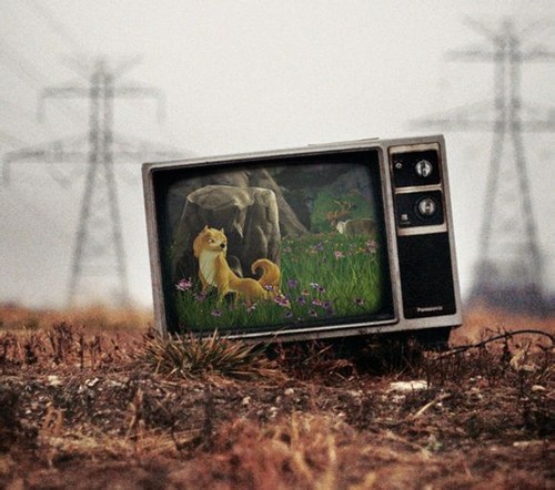  Old TV