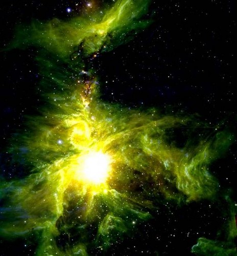  Orion Molecular nube