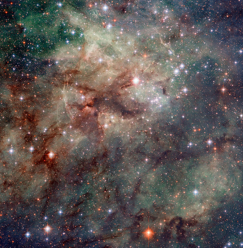  tarántula Nebula