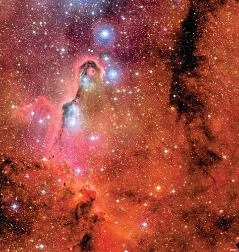  The Elephant's Truk Nebula
