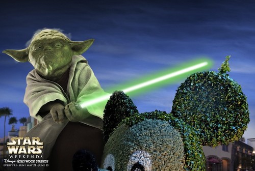  Yoda i प्यार आप <3 *************
