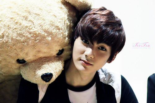  aron with teddy chịu, gấu (fan signing at cheonju)