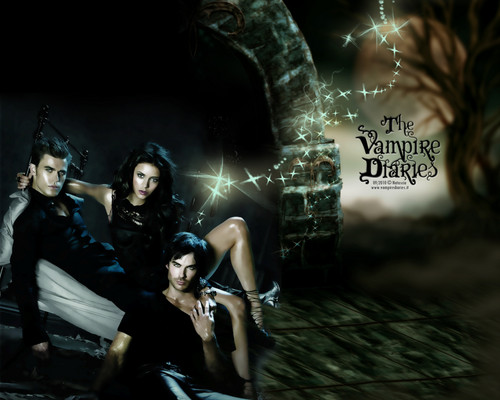 ♥ The Vampire Diaries ♥