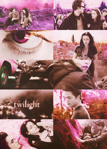  ♥ twilight saga :')
