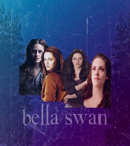  Bella throughout the saga