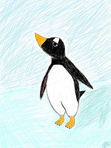  Gentoo penguin, auk Drawing