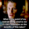  Klaus Mikaelson frases
