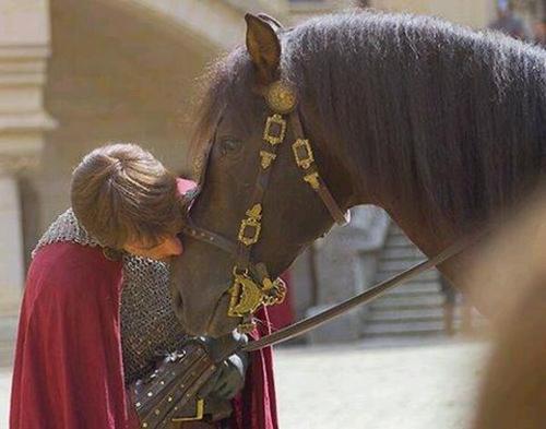  Mr Camelot...FlawFree and Horsey