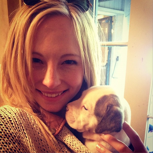  New Instagram bức ảnh - Candice with a puppy!