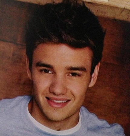  One Direction Tour 2013 Book Pictures