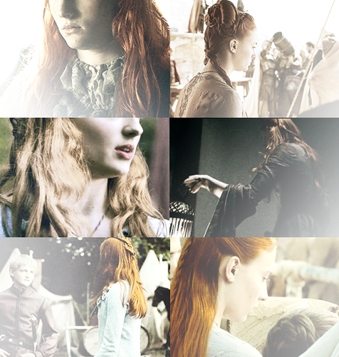  Sansa Stark + Faceless