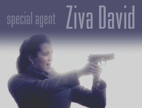  Special Agent Ziva David