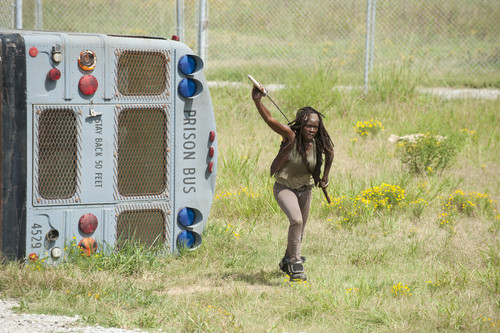  The Walking Dead - 3x10 - home pagina