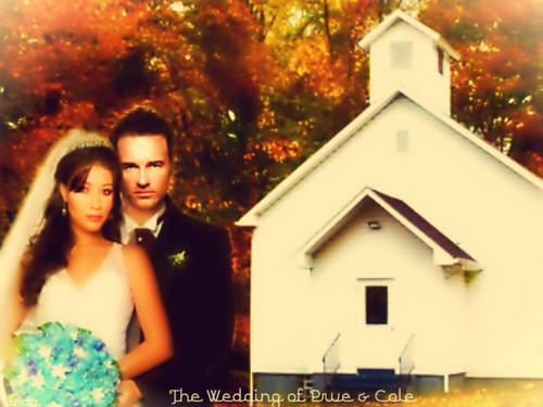  The Wedding of Prue & Cole