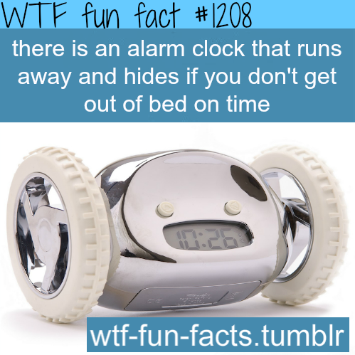  WTF fun fact