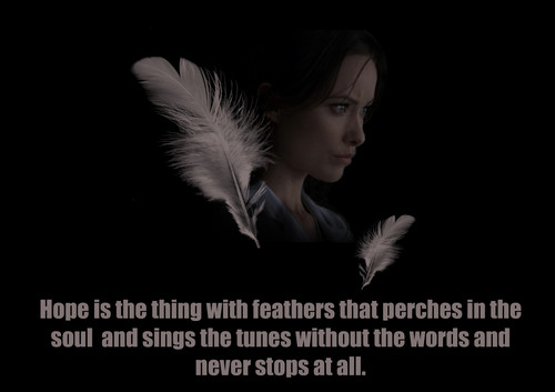  feathers