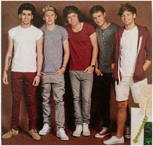 one direction,Tour Book, 2013
