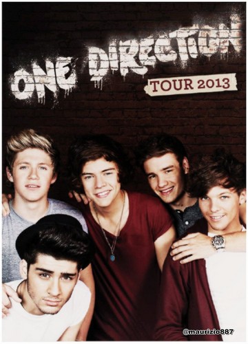  one direction tour 2013