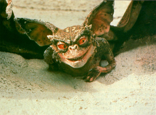  Bat Gremlin
