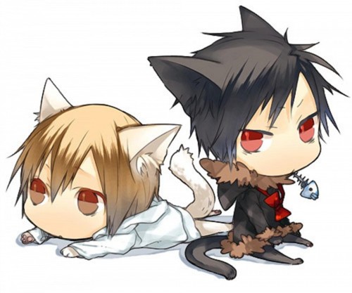  ちび Heiwajima Shizuo and Orihara Izaya in Cat Form