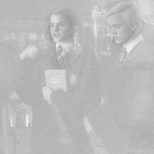  Draco x Hermione