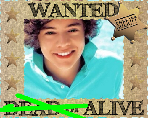  Harry Styles Wanted!!