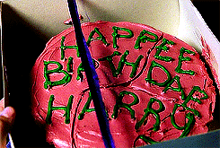  Harry potter + birthday GIFs