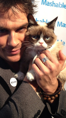  Ian and Grumpy Cat