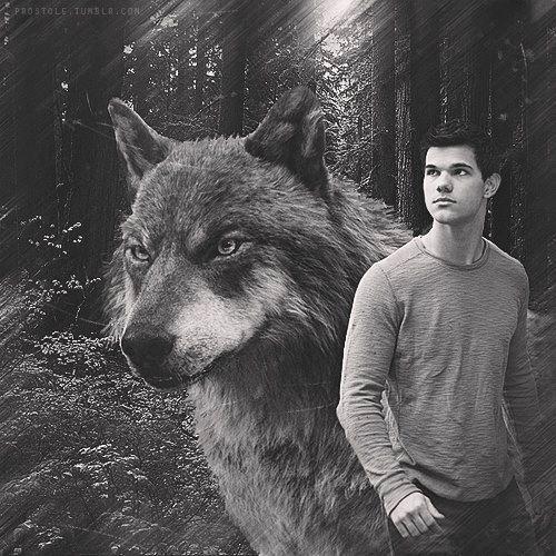  Jacob wolf/human form