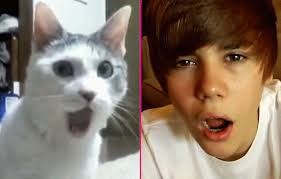  Justin and cat