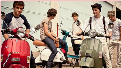  One Direction fotografia shoots