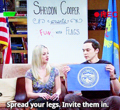  Sheldon and Penny fan Art