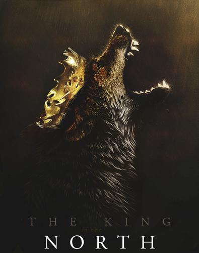 The KIng in The North