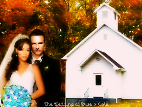  The Wedding of Prue & Cole