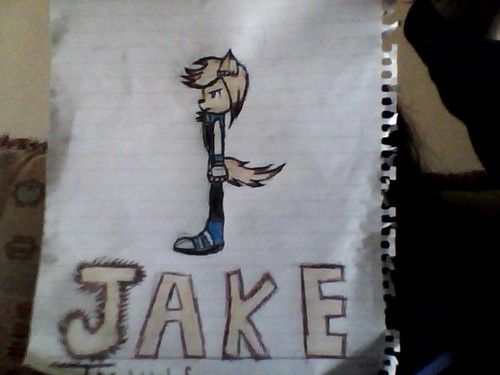 jake the wolf