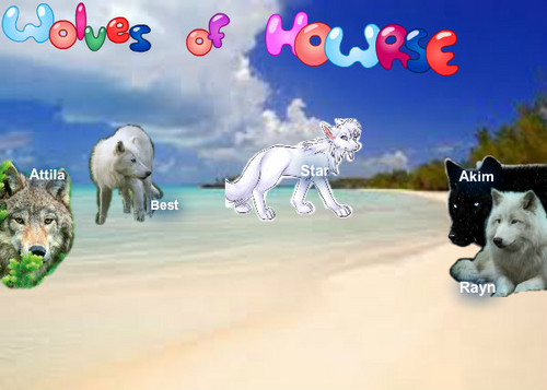 wolves of howrse
