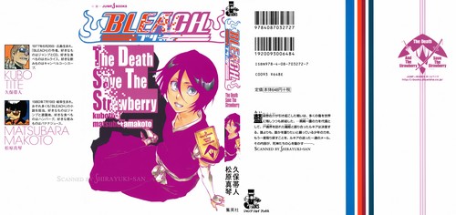 BLEACH THE DEATH SAVE THE STRAWBERRY