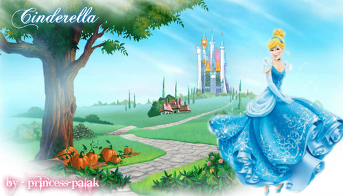 Cinderella by palak